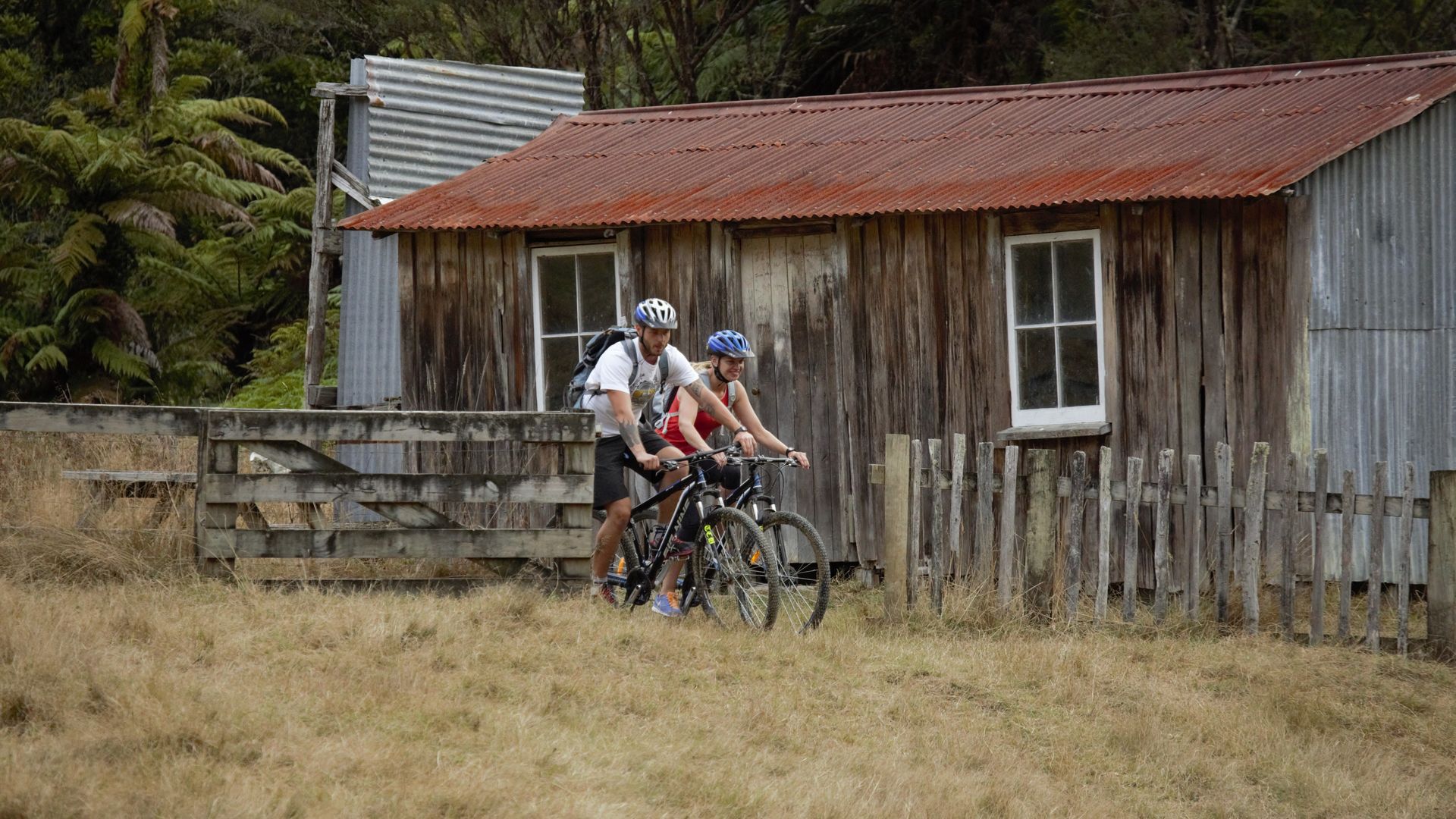 Bridge to nowhere online mtb